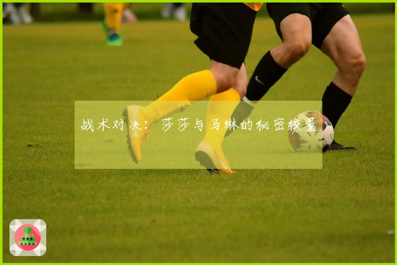 战术对决：莎莎与马琳的秘密较量